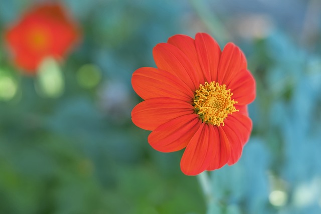 高竞技状态 高竞技状态