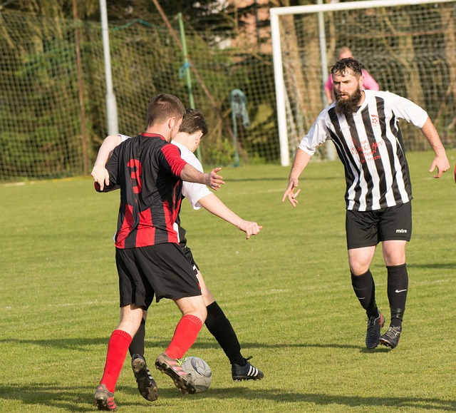 年世界杯歐 年世界杯歐