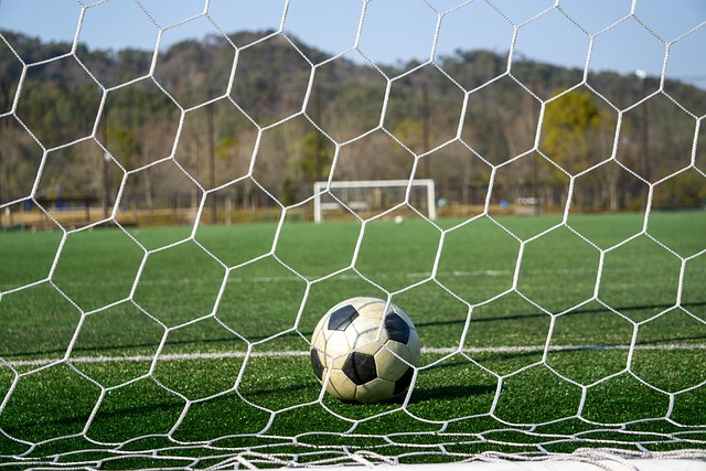 的波蘭對陣 的波蘭對陣