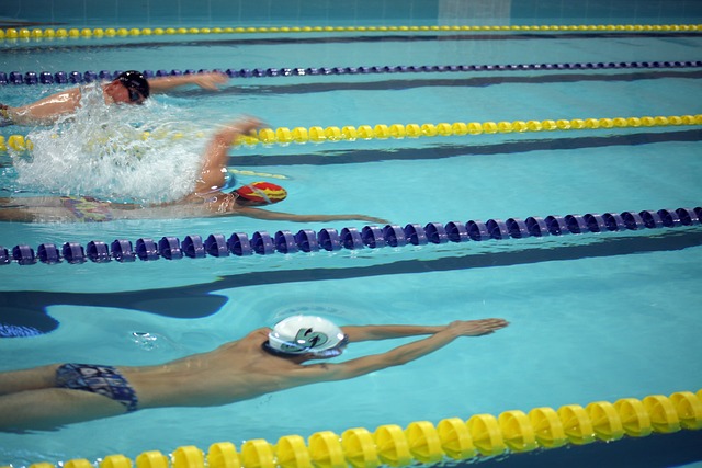 部排除於所 部排除於所