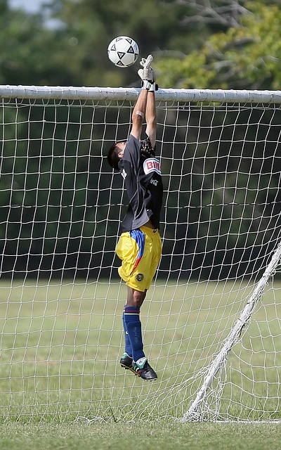 未能进入全 未能进入全