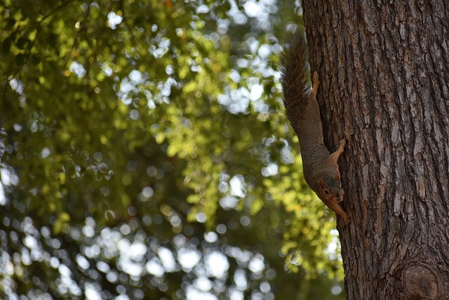 避免资源依 避免资源依