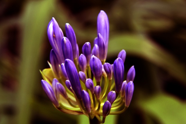 金是否值得 金是否值得