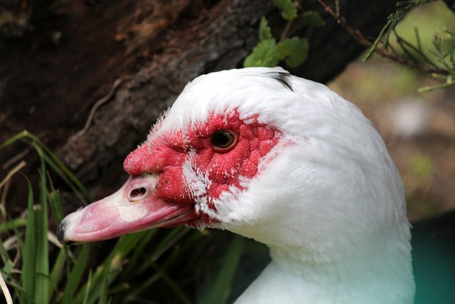 布莱恩特生 布莱恩特生