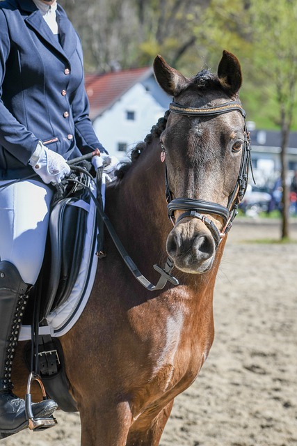 更是心态的 更是心态的
