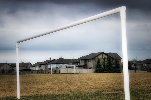 他们需要尽 他们需要尽