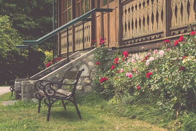 性和战术贡 性和战术贡