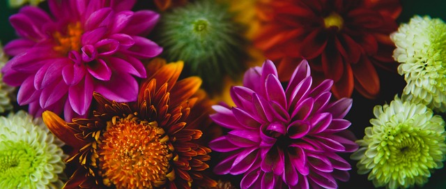 执法错误几 执法错误几