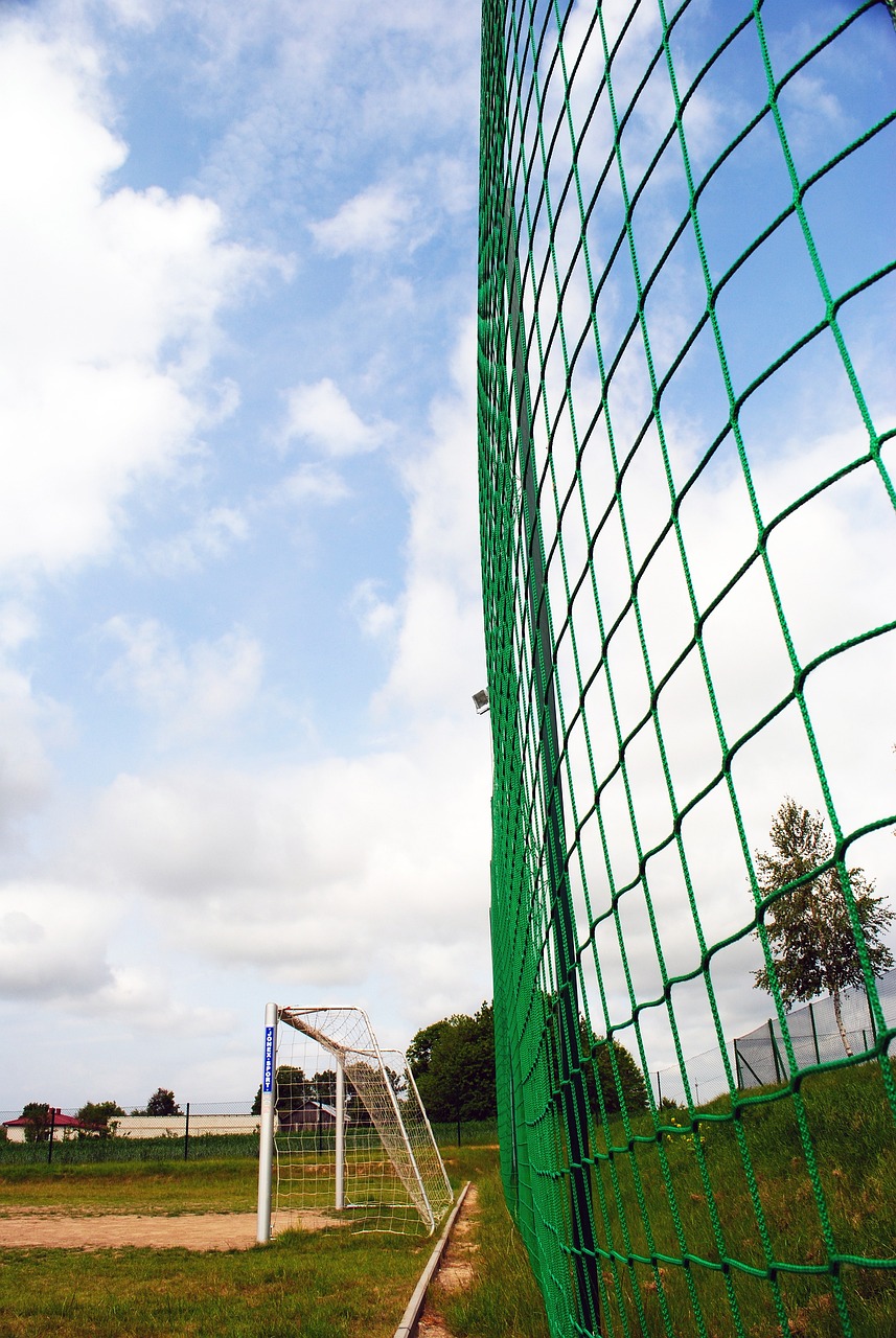 球队的竞争 球队的竞争