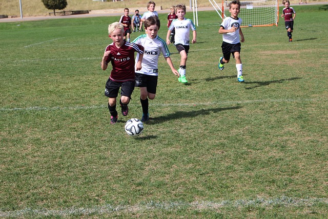 会使每场强 会使每场强