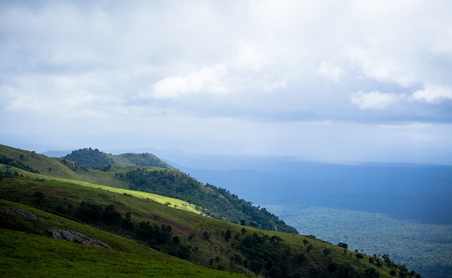 殳海認為佩林卡成功簽下香餑餑而不需要付出首輪選秀權，這算是一種小的勝利。.